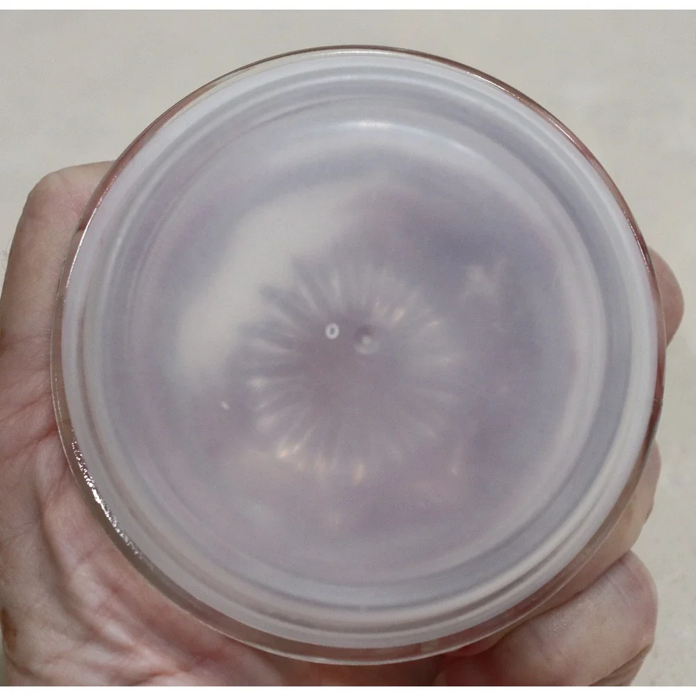 Anchor Hocking Wexford Small Glass Canister Jar with Lid Clear Vintage